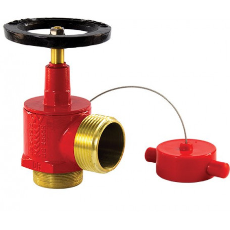 NSW - BSP Threaded FlameStop Fire Hydrant Landing Valve