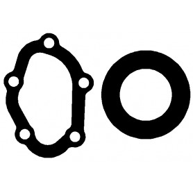 200Nb Tyco CSC Central F Alarm Valve Moulded Gasket Kit