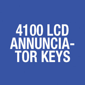 Spare Key for 4100 LCD Annunciator 454-130