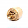 20Nb Brass Spring Check Valve - Brass Spindle