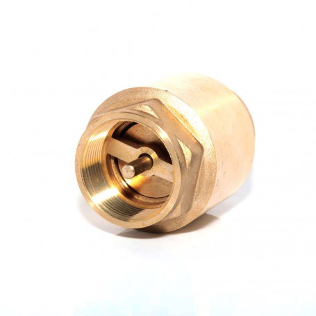 20Nb Brass Spring Check Valve - Brass Spindle