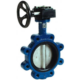 100Nb Lugged Butterfly Valve Gear Operated