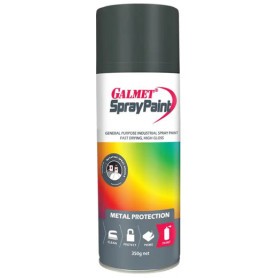 Black Spray Can 350G Galment