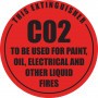CO2 Identification Sign - 190 x 190mm PLASTIC