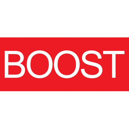 BOOST - Sign 120 x 50mm