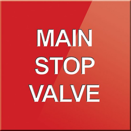 Main Stop Valve