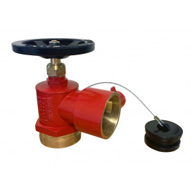 BIC - Roll Grooved FlameStop Fire Hydrant Landing Valve